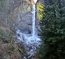 falls on ice by Bruce Dickson