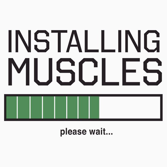 installing muscles please wait