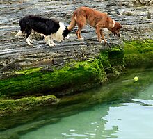 Good....I Have A Friend To Help....Now...How Are WE Going To Get The Ball (Please Read Description) by Noel Elliot