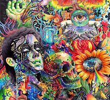 Cerebral Dysfunction by jkcdawgs