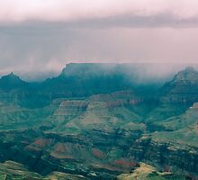 the changing seasons by Carol Fan