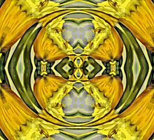 Yellow Sound Waves by Scott Mitchell