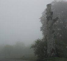 Dead Tree on a Foggy Morning by Gilda Axelrod
