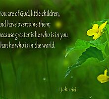 Greater is He ~ 1 John 4:4 by Robin Clifton