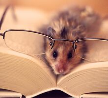 Hamster The Reader by LenkaOBS