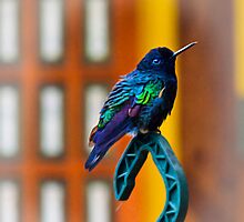 I Am Just Short For My Weight by Al Bourassa