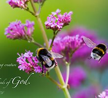 Job 12:10 by willgudgeon