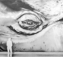Whale eye by Diana Hlevnjak