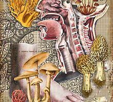 Fungi by Barbee Teasley
