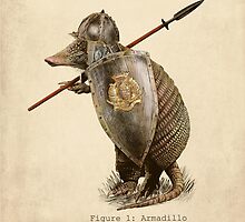Armadillo by Eric Fan