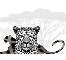 Jungle Cat by UneartheDesigns