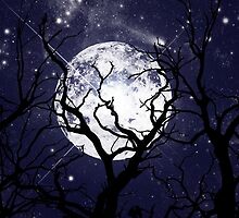 Hallowed Moon by Stephanie Rachel Seely