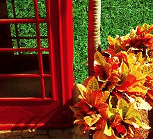 Hello, Operator? by Rosemary Sobiera