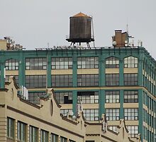 A Water Tower Grows in Brooklyn by Gilda Axelrod