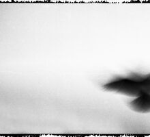 Freedom by Ido Friedman (2DogsDesign)