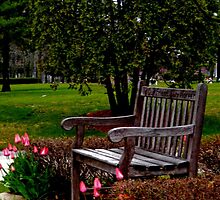 A Time For Everything (please read verse) by Marie Sharp
