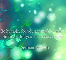 Made Of Stars by Stephanie Rachel Seely