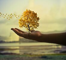 Tree of life by creative-images