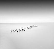 ... by alexey sorochan