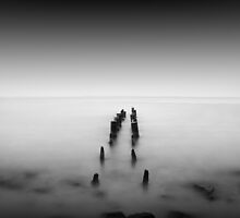 ... by alexey sorochan