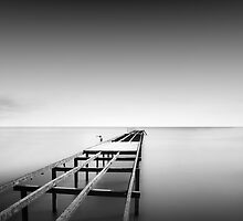 ... by alexey sorochan
