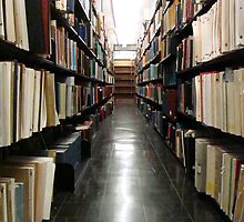 Alderman Library Stacks - UVA ^ by ctheworld