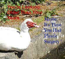 Plastic Surgery Muscovy Duck by Jollyrobin