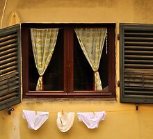 Tuscan Undies by Tiffany Dryburgh