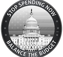 Balance The Budget by morningdance