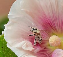 Pollen Overdose by relayer51