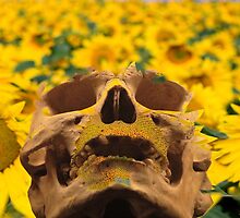 SUNFLOWERS by Icarusismart