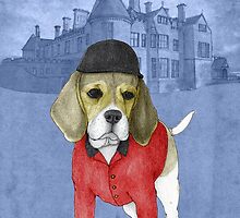 Beagle by barruf