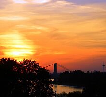 Cologne Sun by TCL-Cologne