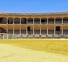 Plaza el Toros - Can You Hear It? by TonyCrehan