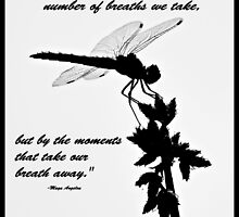 Black and White Dragonfly with quote by Christina Ochsner