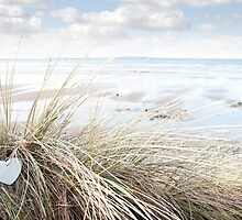 lone blue wooden heart on beach dunes by morrbyte