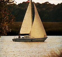 Boats and Ships ~ Nautical Theme by SummerJade