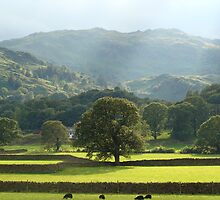 A Visual Poetry Of England by InterestingImag