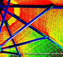 rainbow distraction by Timothy Snyder