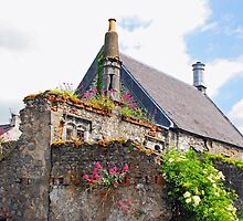 Kilkenny House by mcstory