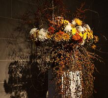 Mother Nature's Autumn Colors - a Still Life by Georgia Mizuleva