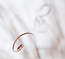 Curl by Anne Gilbert