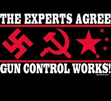 The Experts Agree - Gun Control Works! by Yotees