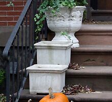 Autumnal front steps by Babz Runcie