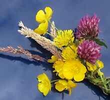 IRISH WILDFLOWERS by Colleen2012
