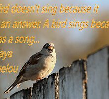 Inspiration from Maya Angelou by Keala