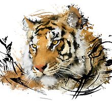 Distant Tiger by Victor Castillo