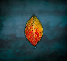 Floating leaf on Blue Sky by Irene Liebler
