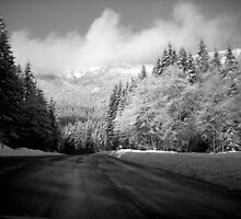 Dusting by Jennifer Bishop