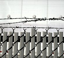 Barricades by Peter Baglia